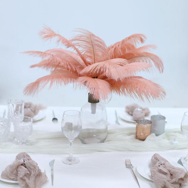 12 pcs 10-15" Authentic Ostrich Feathers