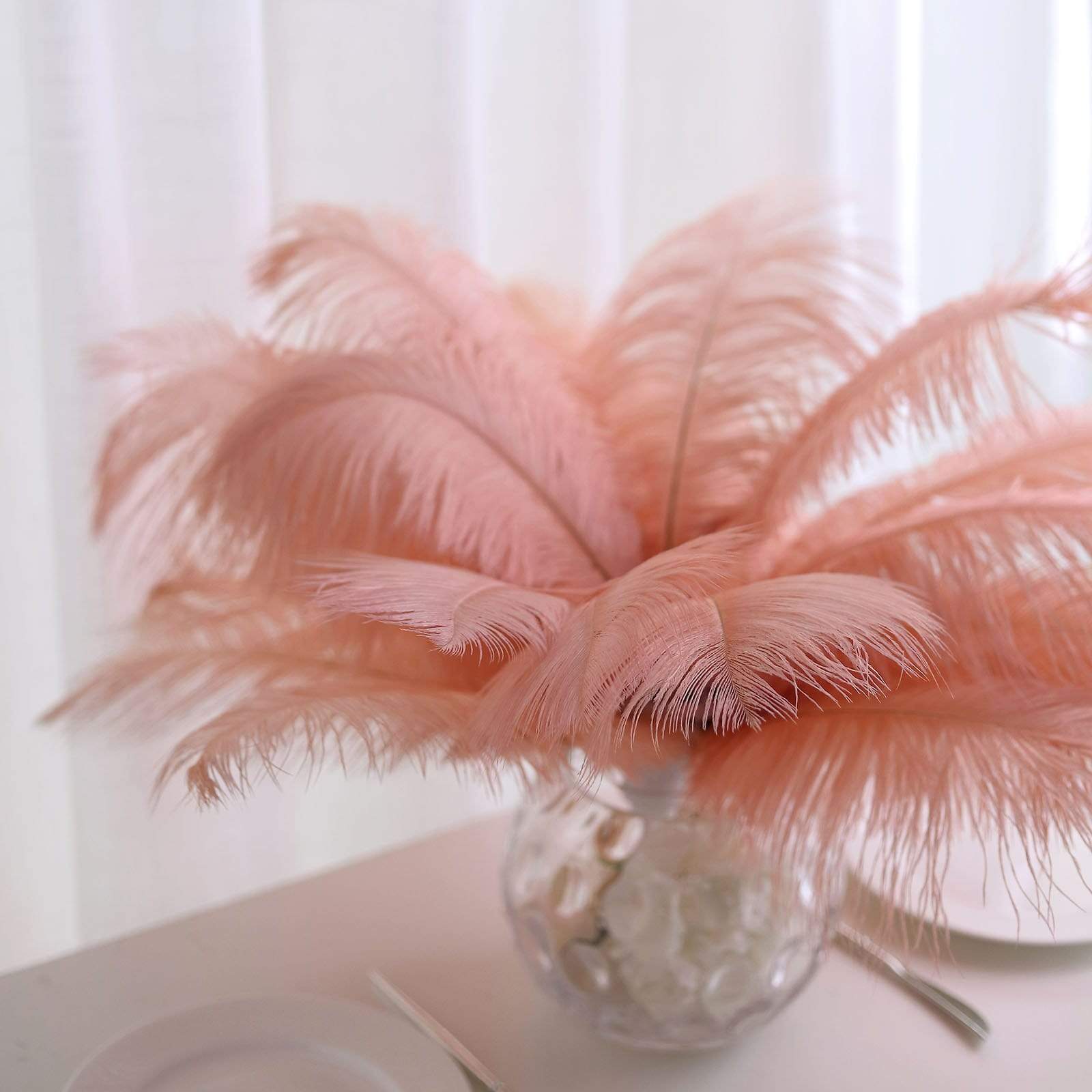 12 pcs 10-15" Authentic Ostrich Feathers