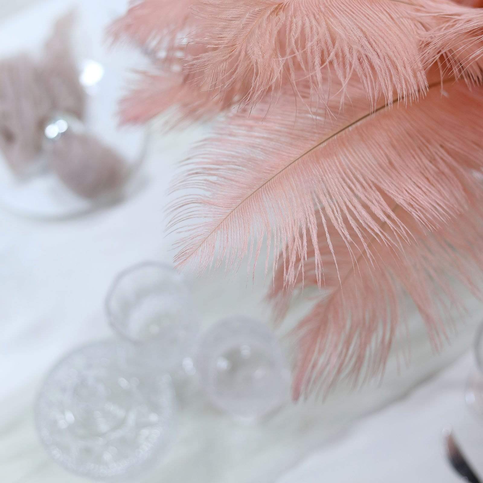 12 pcs 10-15" Authentic Ostrich Feathers