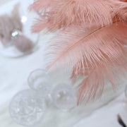 12 pcs 10-15" Authentic Ostrich Feathers