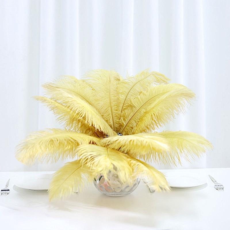 12 pcs 10-15" Authentic Ostrich Feathers