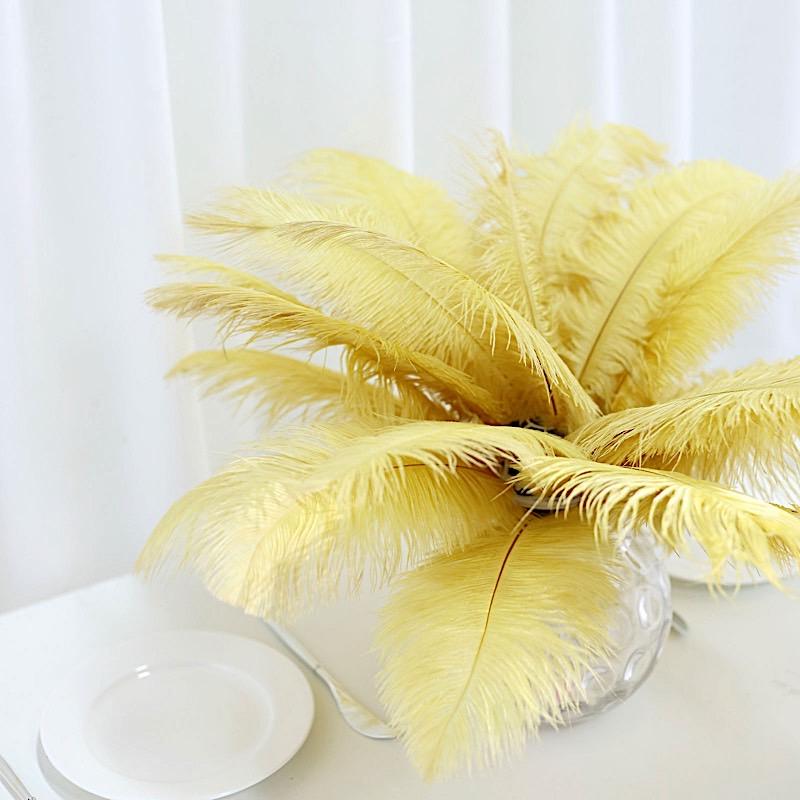 12 pcs 10-15" Authentic Ostrich Feathers