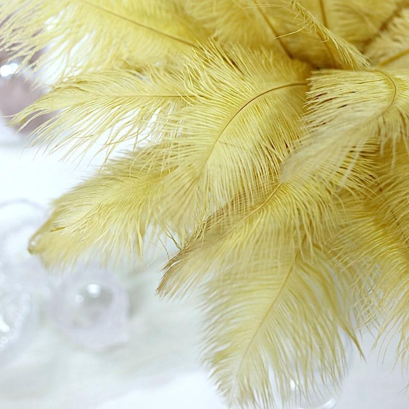 12 pcs 10-15" Authentic Ostrich Feathers