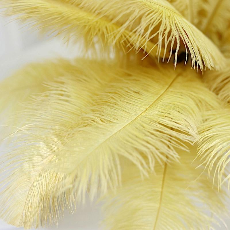 12 pcs 10-15" Authentic Ostrich Feathers