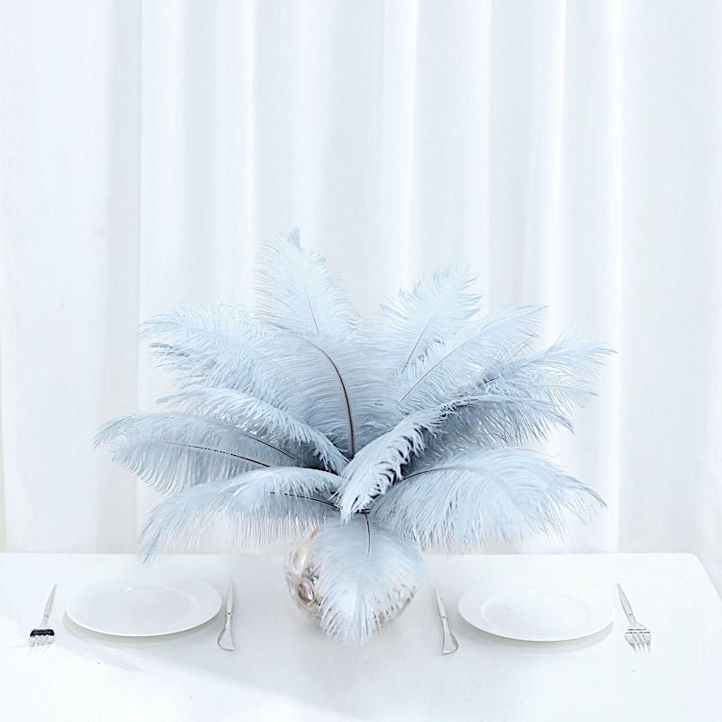 12 pcs 10-15" Authentic Ostrich Feathers