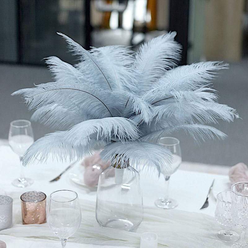 12 pcs 10-15" Authentic Ostrich Feathers