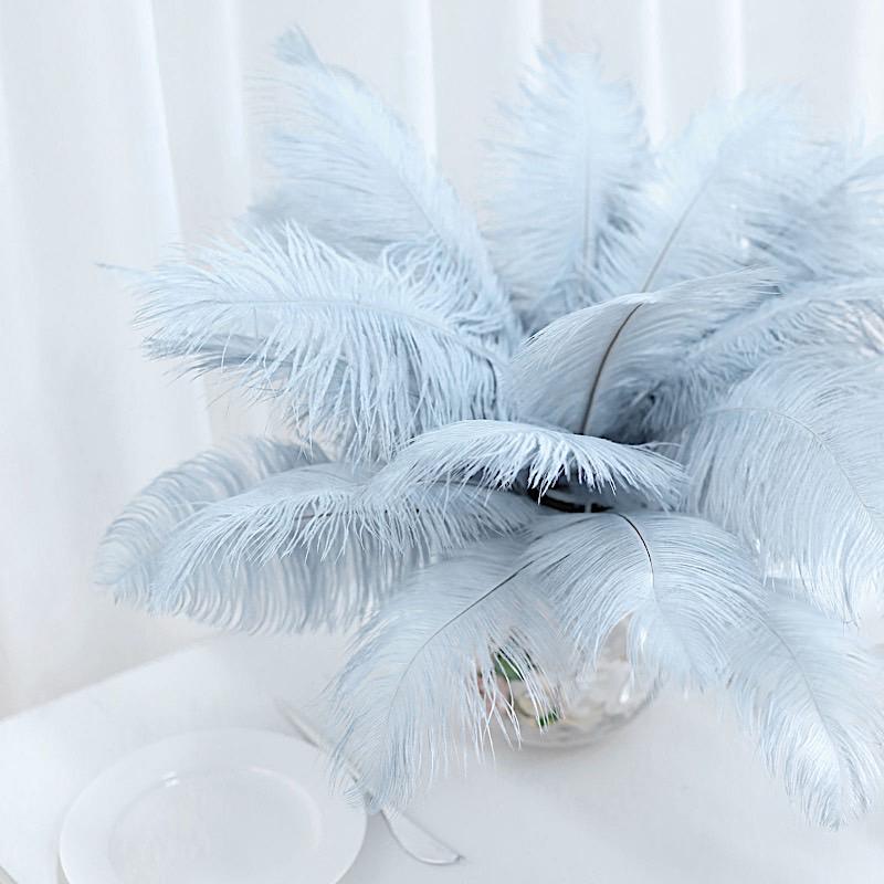 12 pcs 10-15" Authentic Ostrich Feathers