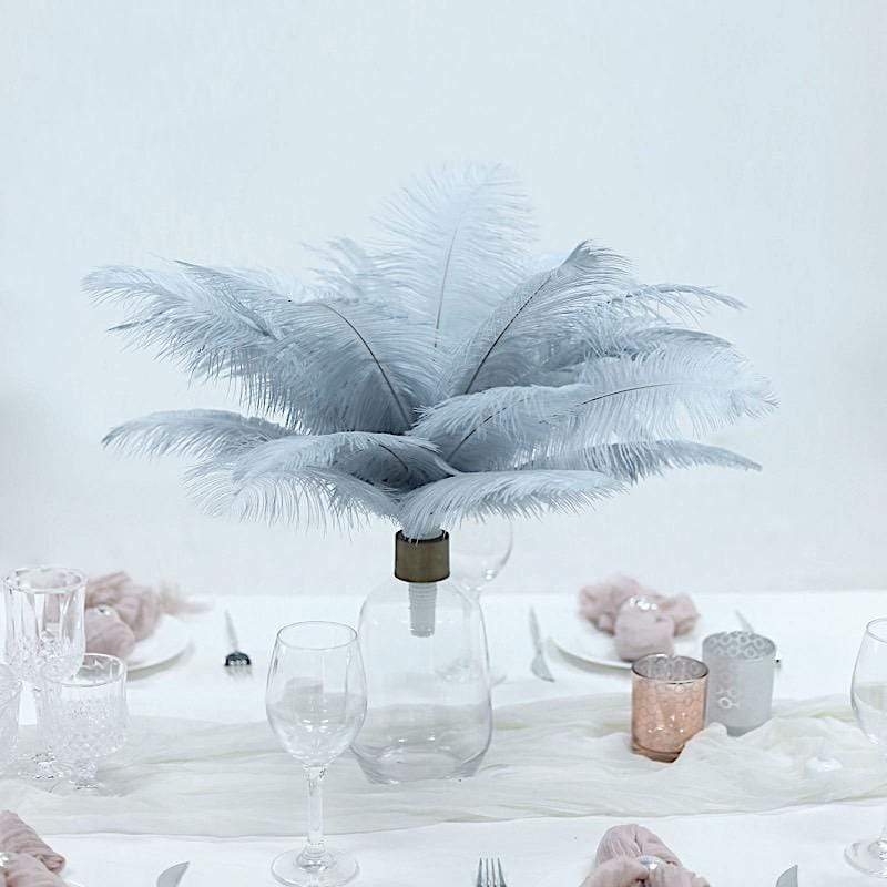 12 pcs 10-15" Authentic Ostrich Feathers