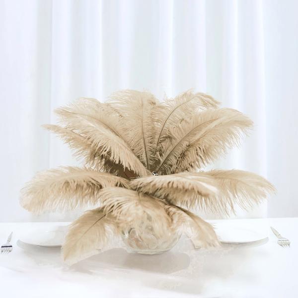 12 pcs 10-15" Authentic Ostrich Feathers