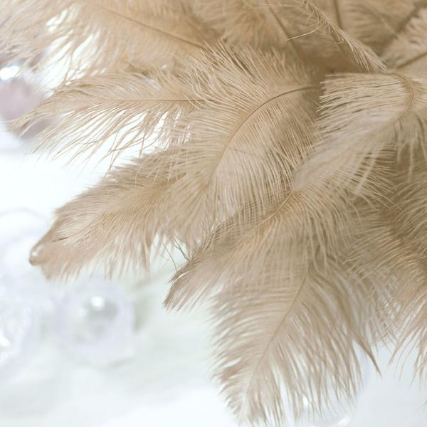 12 pcs 10-15" Authentic Ostrich Feathers