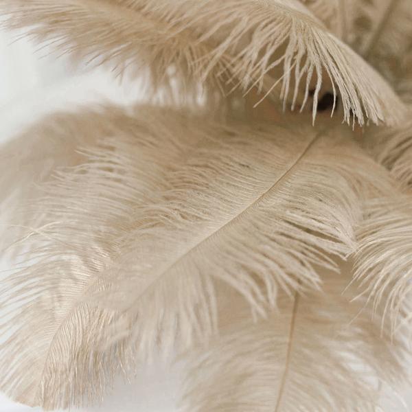 12 pcs 10-15" Authentic Ostrich Feathers