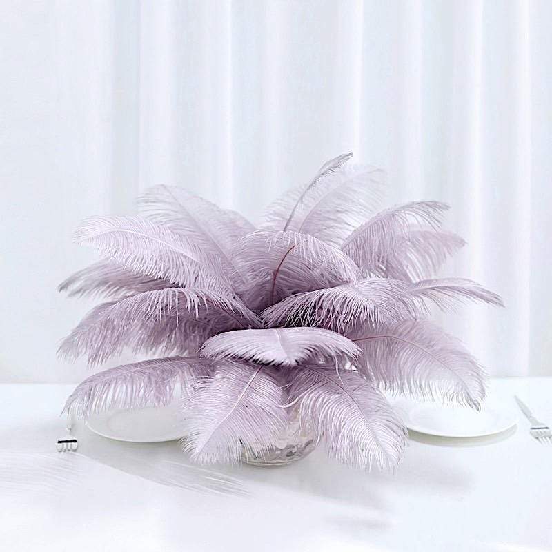 12 pcs 10-15" Authentic Ostrich Feathers