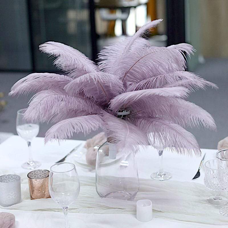 12 pcs 10-15" Authentic Ostrich Feathers