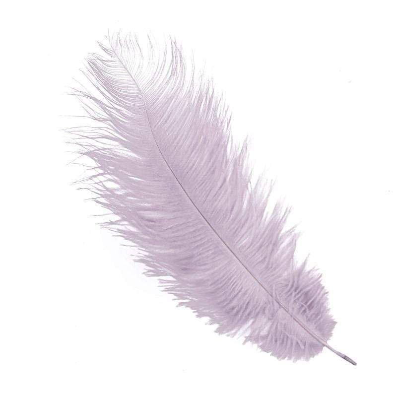 12 pcs 10-15" Authentic Ostrich Feathers