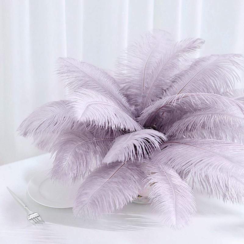 12 pcs 10-15" Authentic Ostrich Feathers