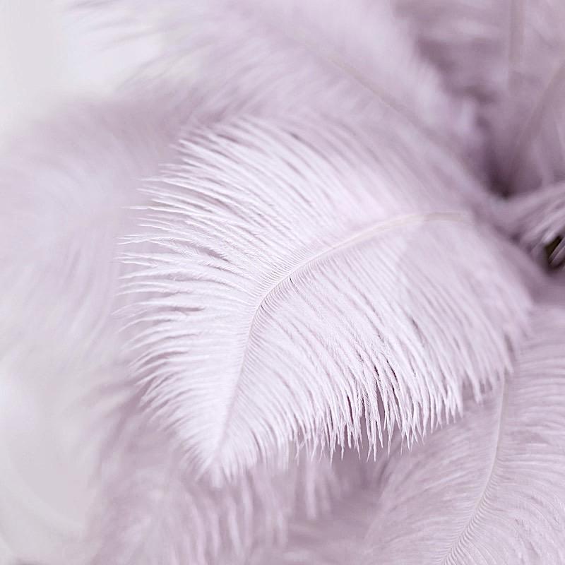 12 pcs 10-15" Authentic Ostrich Feathers