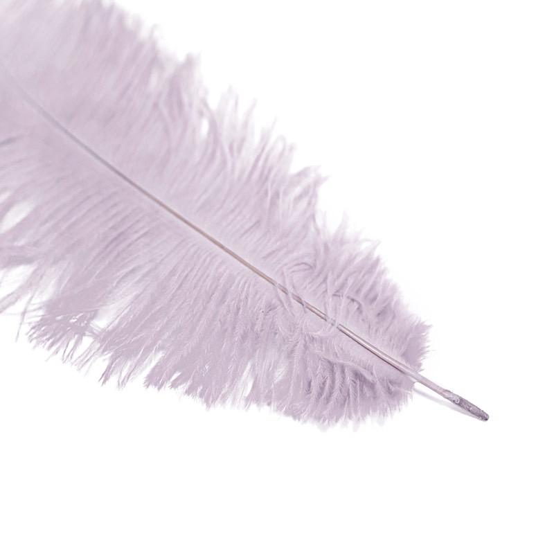 12 pcs 10-15" Authentic Ostrich Feathers