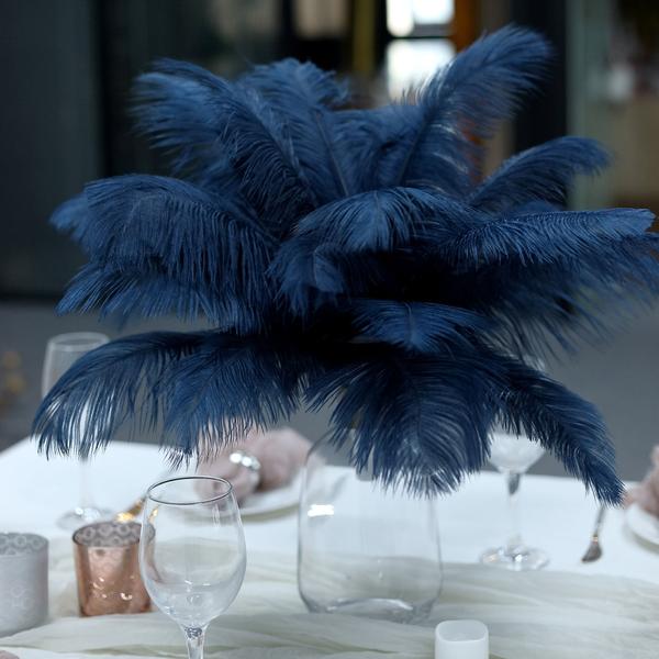 12 pcs 10-15" Authentic Ostrich Feathers