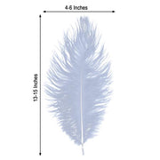 12 pcs 10-15" Authentic Ostrich Feathers