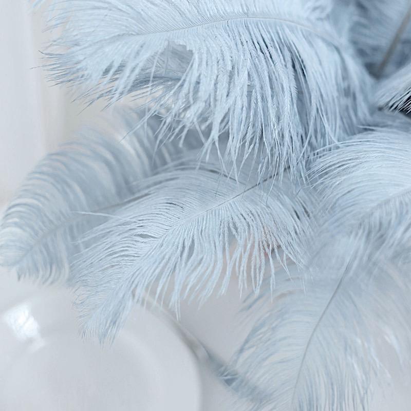 12 pcs 10-15" Authentic Ostrich Feathers