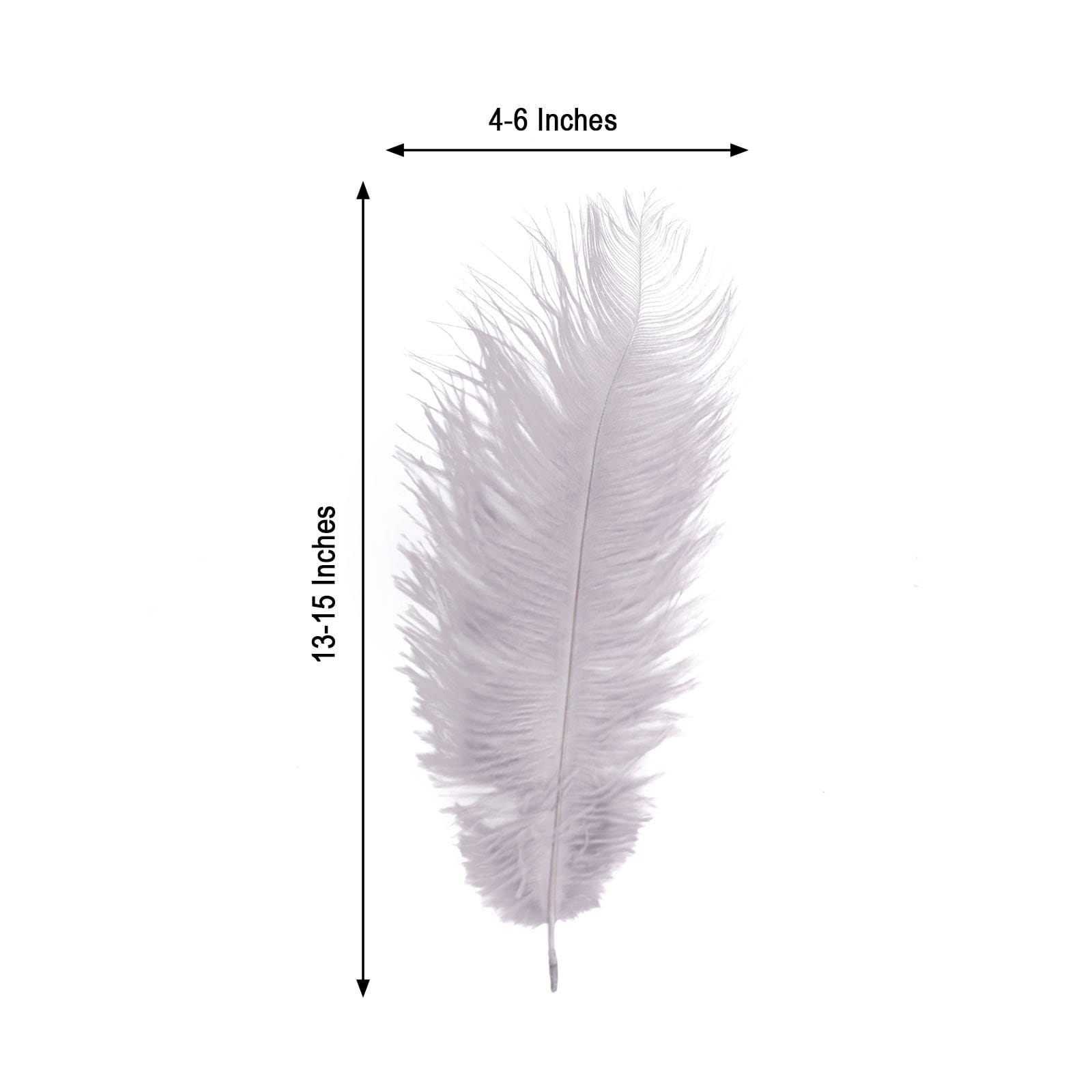 12 pcs 10-15" Authentic Ostrich Feathers