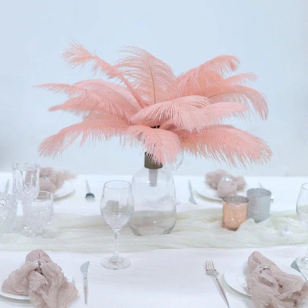 12 pcs 10-15" Authentic Ostrich Feathers