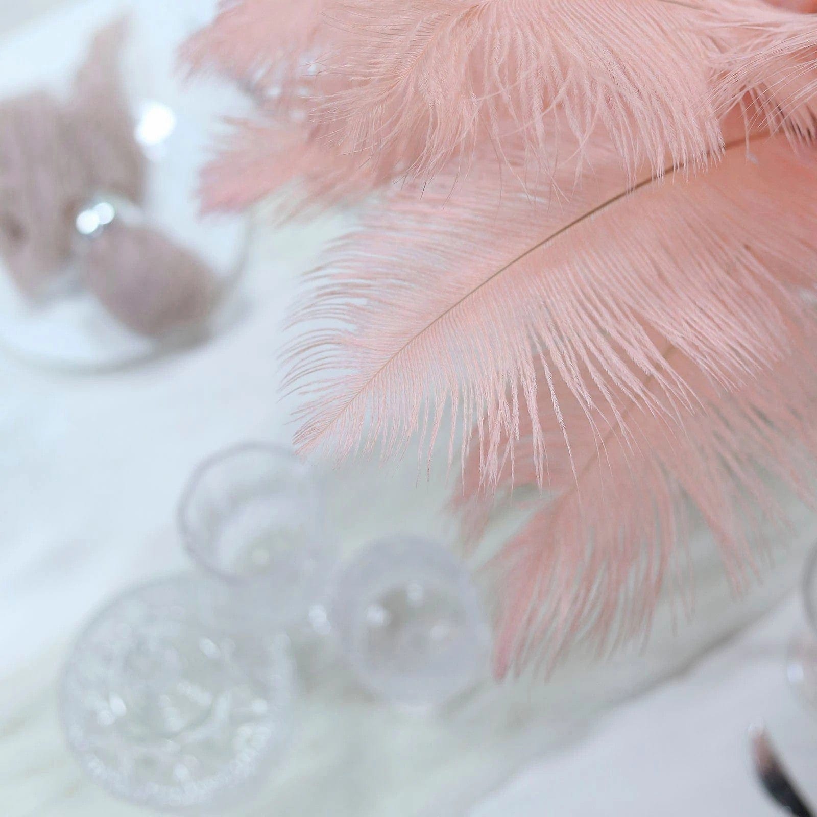 12 pcs 10-15" Authentic Ostrich Feathers