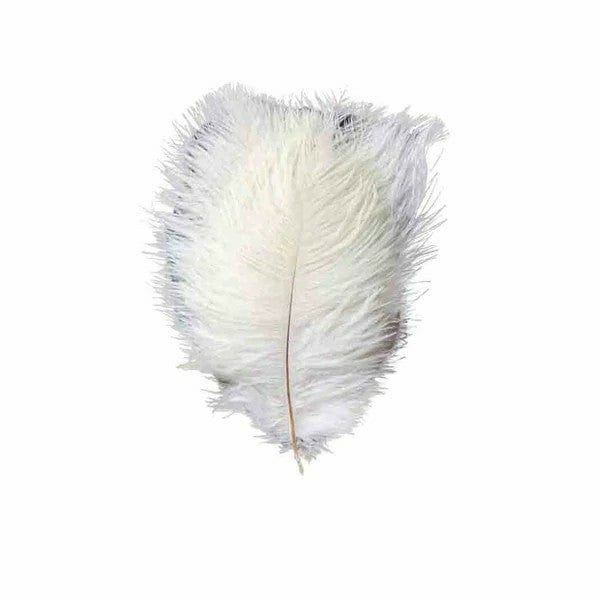 12 pcs 10-15" Authentic Ostrich Feathers