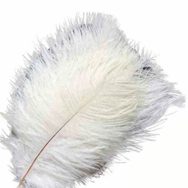 12 pcs 10-15" Authentic Ostrich Feathers