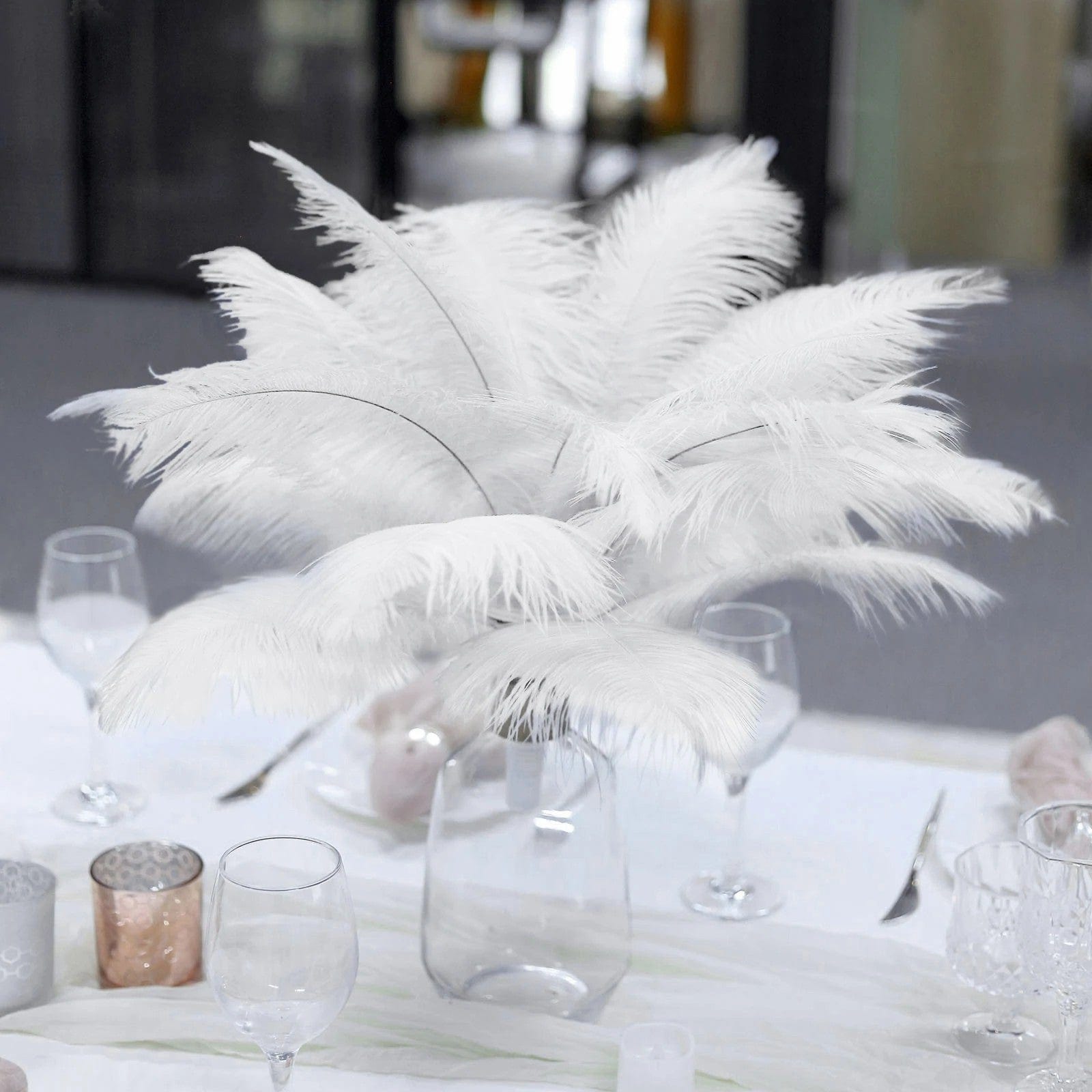 12 pcs 10-15" Authentic Ostrich Feathers