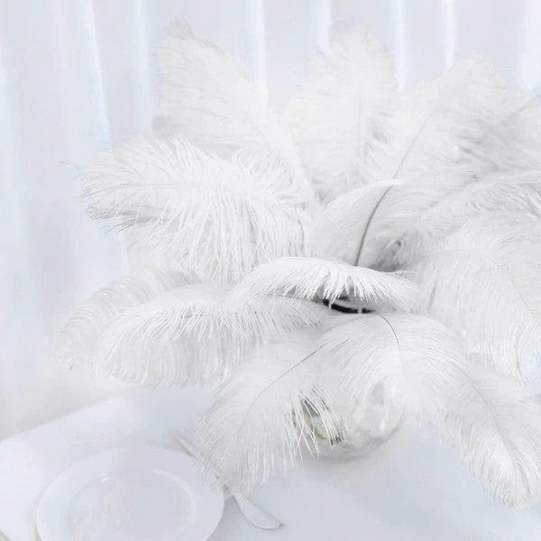 12 pcs 10-15" Authentic Ostrich Feathers