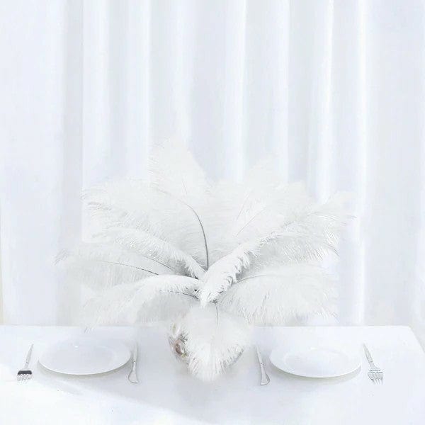 12 pcs 10-15" Authentic Ostrich Feathers