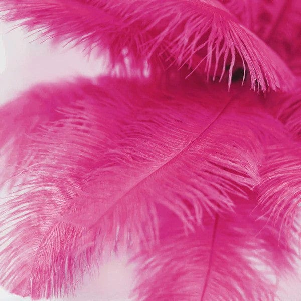 12 pcs 10-15" Authentic Ostrich Feathers