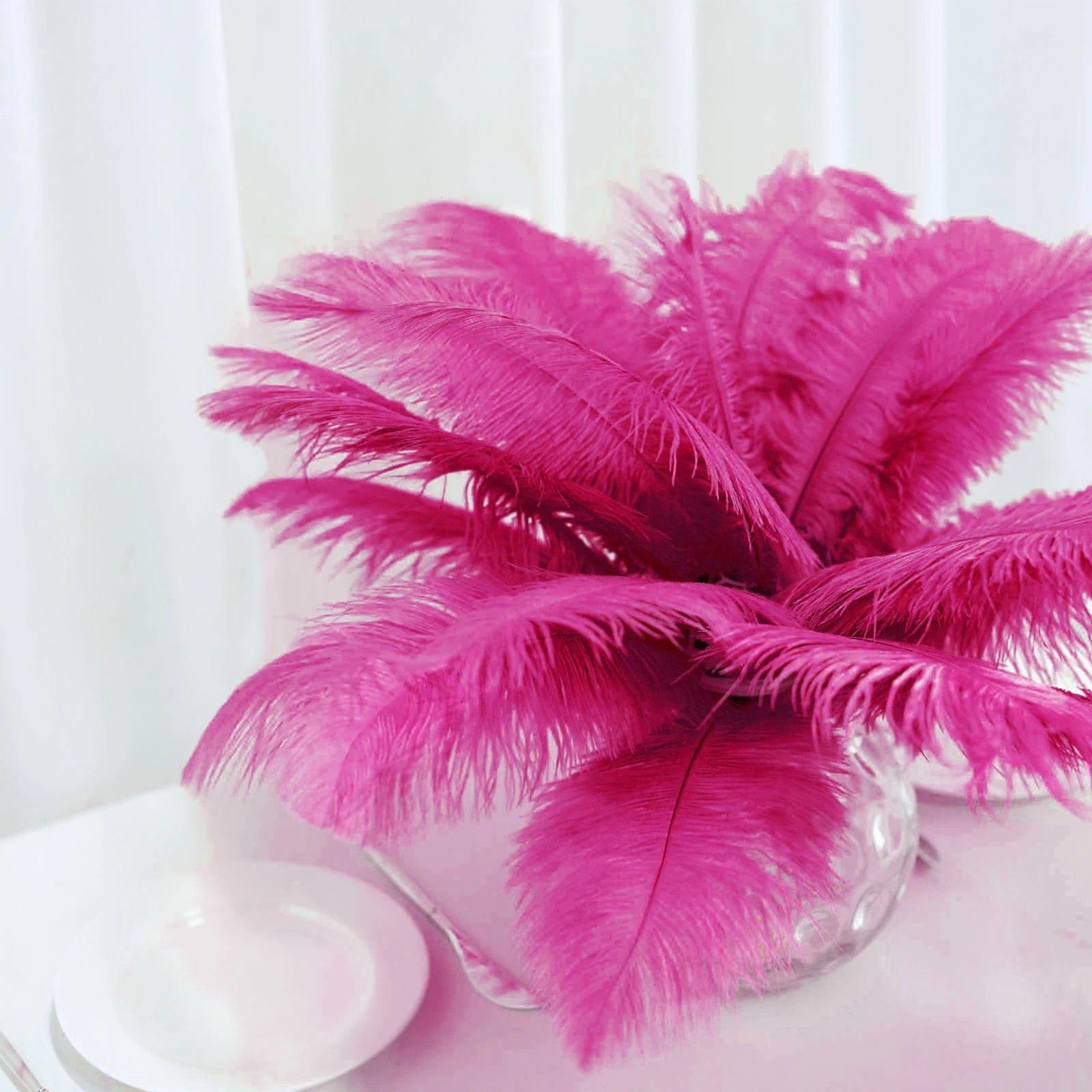 12 pcs 10-15" Authentic Ostrich Feathers