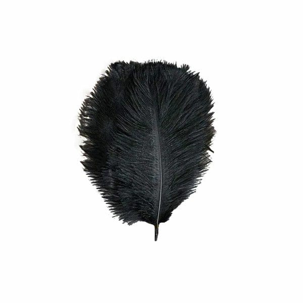 12 pcs 10-15" Authentic Ostrich Feathers