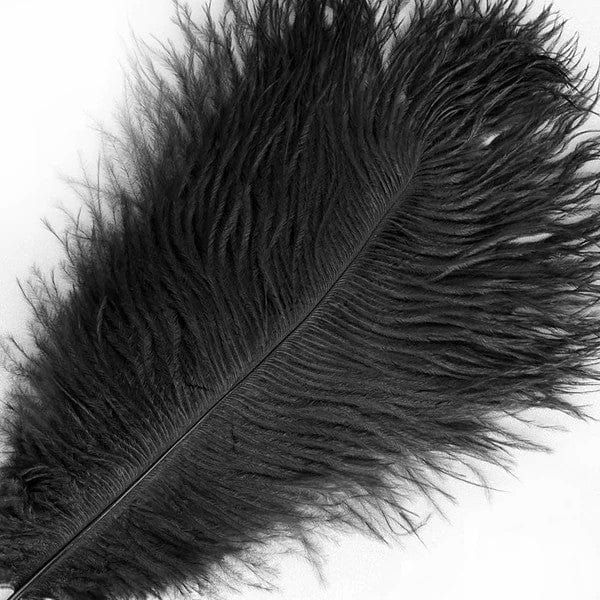 12 pcs 10-15" Authentic Ostrich Feathers