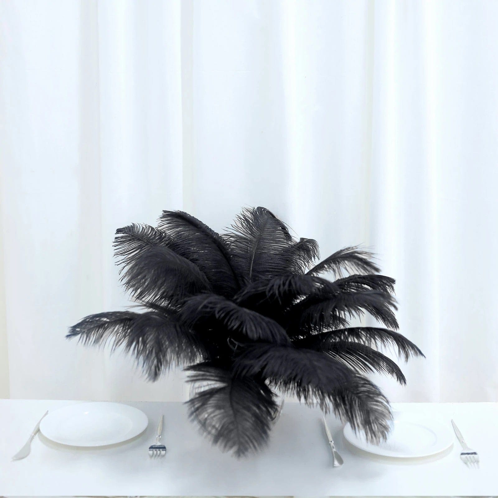 12 pcs 10-15" Authentic Ostrich Feathers