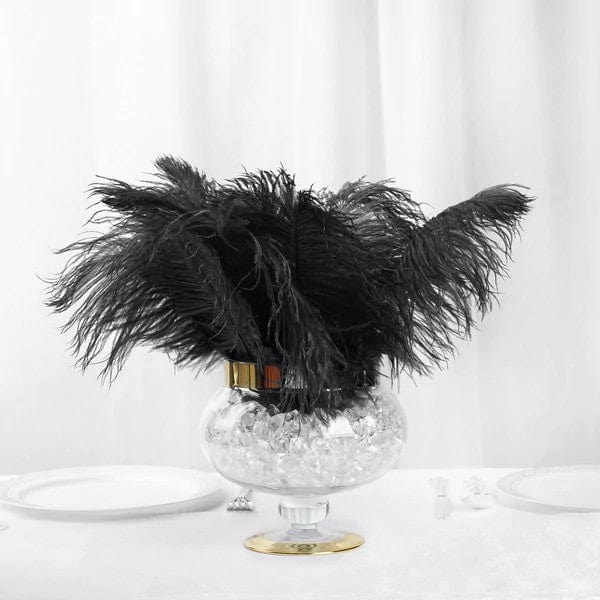 12 pcs 10-15" Authentic Ostrich Feathers