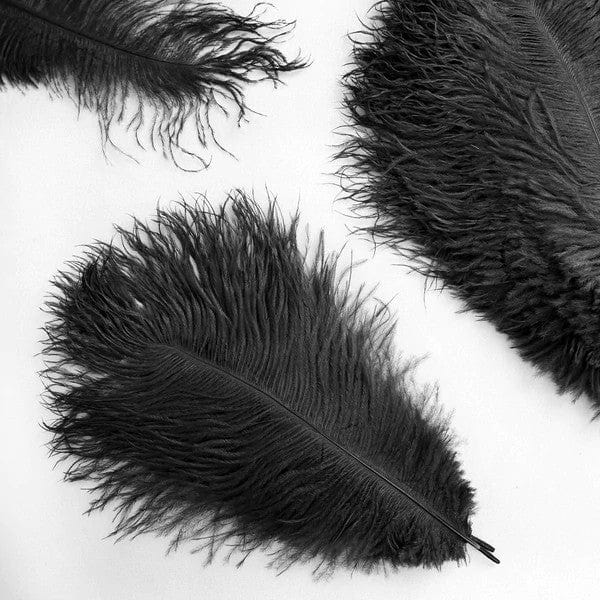 12 pcs 10-15" Authentic Ostrich Feathers