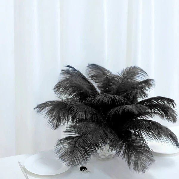 12 pcs 10-15" Authentic Ostrich Feathers