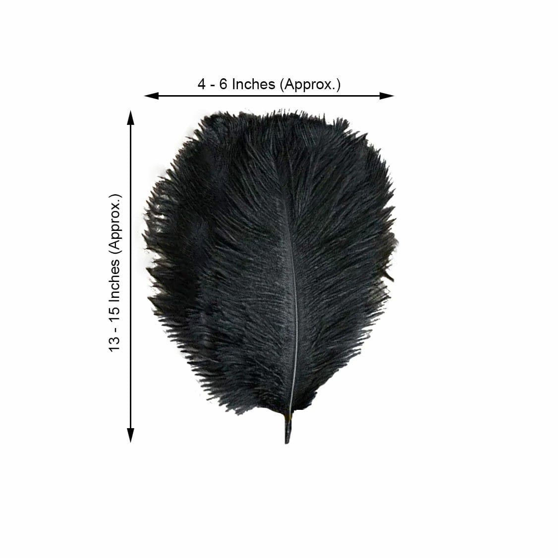 12 pcs 10-15" Authentic Ostrich Feathers