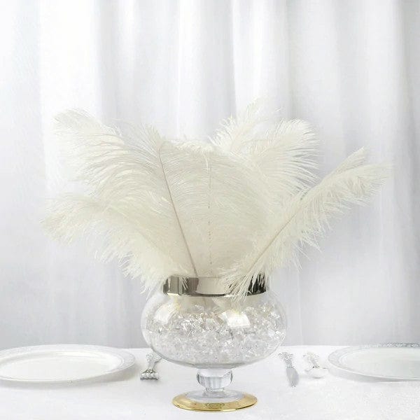 12 pcs 10-15" Authentic Ostrich Feathers