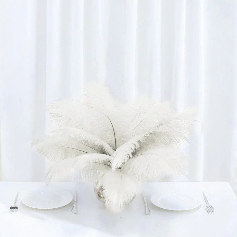 12 pcs 10-15" Authentic Ostrich Feathers