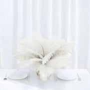 12 pcs 10-15" Authentic Ostrich Feathers