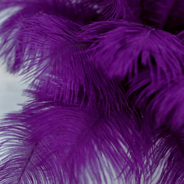 12 pcs 10-15" Authentic Ostrich Feathers