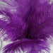 12 pcs 10-15" Authentic Ostrich Feathers