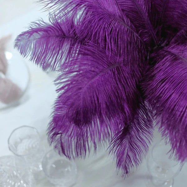 12 pcs 10-15" Authentic Ostrich Feathers