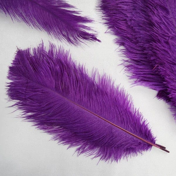 12 pcs 10-15" Authentic Ostrich Feathers