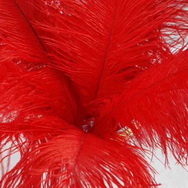 12 pcs 10-15" Authentic Ostrich Feathers