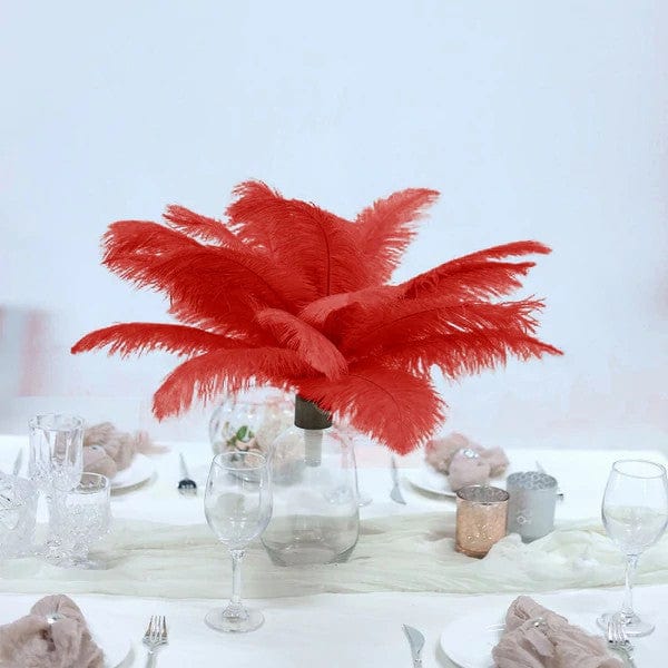 12 pcs 10-15" Authentic Ostrich Feathers